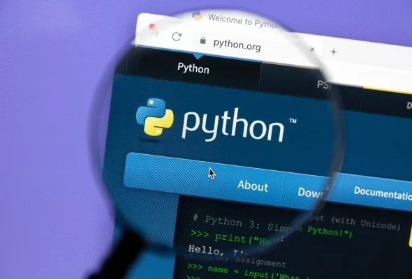 python-1